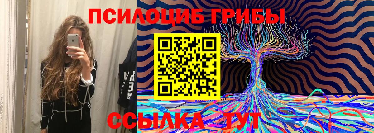 Малгобек  Псилоцибиновые грибы Psilocybe  Вход с VPN  где можно купить наркотик  Псилоцибиновые грибы мицелий 
