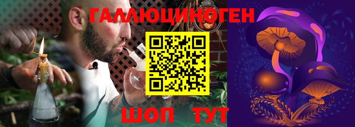 Псилоцибиновые грибы мухоморы Малгобек